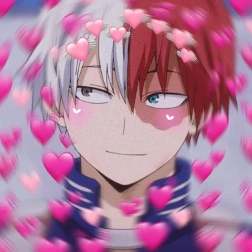 anime fofo, anime pessoal, todoroki kun, todoroki edith, personagens de anime