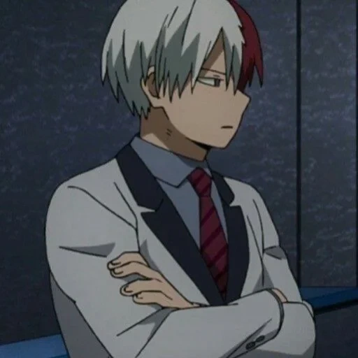 todoroki, anime boy, animation funny, cartoon character, teacher todoromu