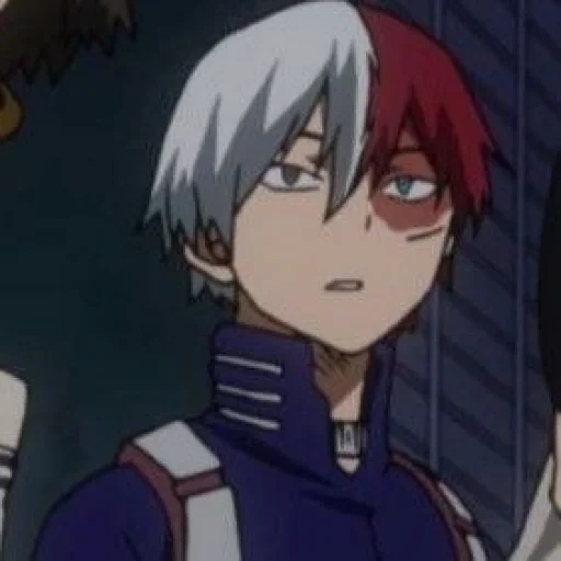 todoroki, todoroki, todoroki shoto, karakter anime, anime toki uito