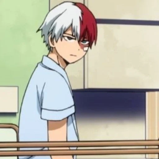 todoroki, anime boy, todoroki software company, cartoon characters, my hero academy todoroka season 1