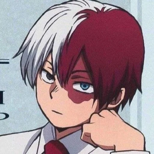 todoroki, akiichi hoshiki, shoto todoroki, shoto todoroki frame, anime de toshimomo kaito