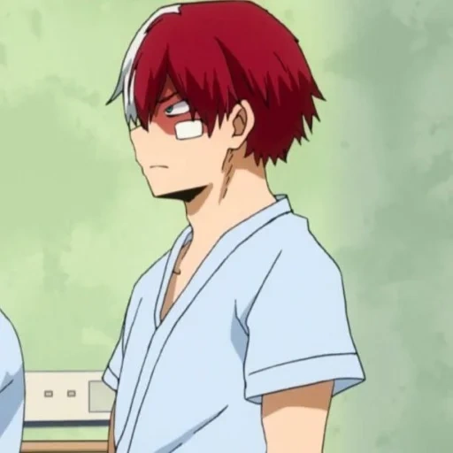 animation, todoroki, popular animation, cartoon characters, shouto todoroki