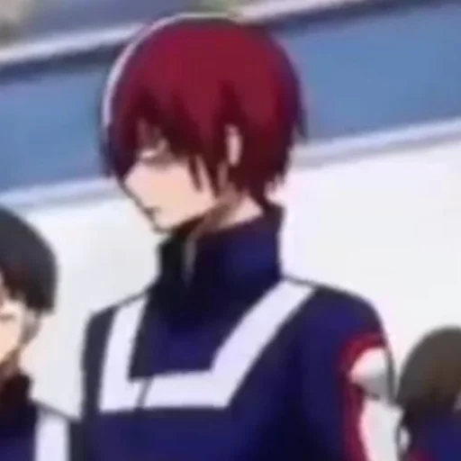 todoroki, anggur pohon tuan rumah, todoroki daoug, todoroki shoto, karakter anime