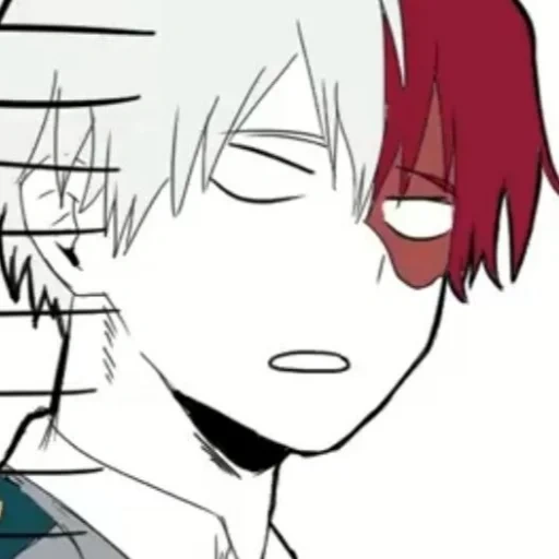 foto, todoroki, todoroki é uma merda, anime todoroki, personagens de anime