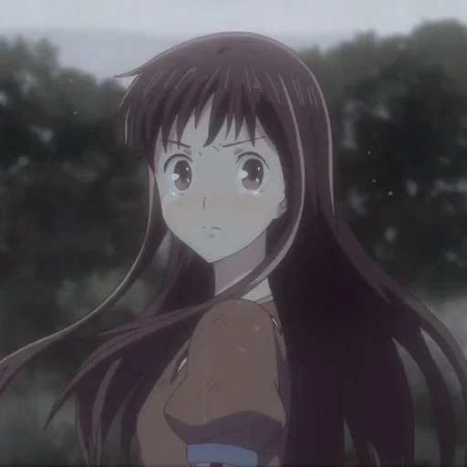 anime, anime anime, manga anime, personnages d'anime, panier de fruits kyoko