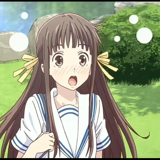 animação, menina anime, papel de animação, cesta de frutas anime, cesta de frutas tor honda