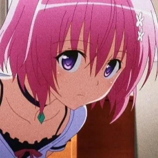 l'assassino di akame, momo deviluke, anime girl, momo belia deviluke