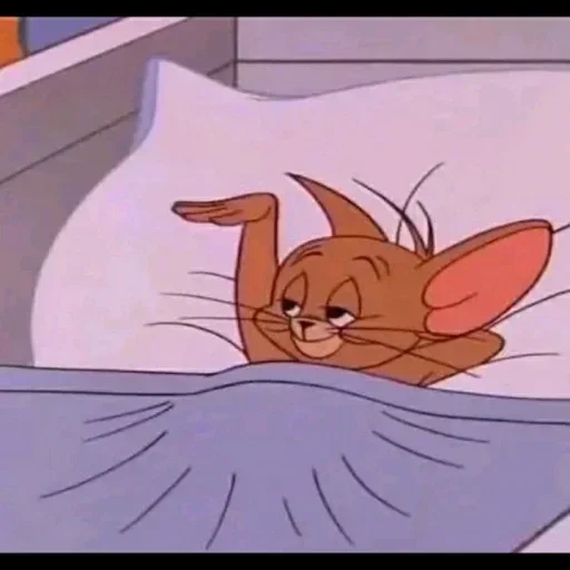 кот, том джерри, tom and jerry meme, мышонок джерри аву, the walt disney company