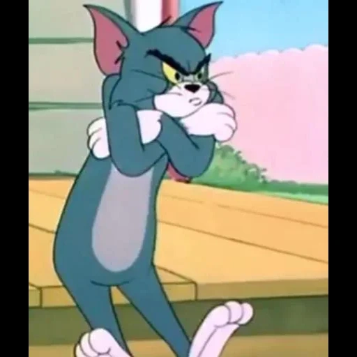 том джерри, том джерри кот, том том джерри, tom si jerry tom, том джерри техасец том