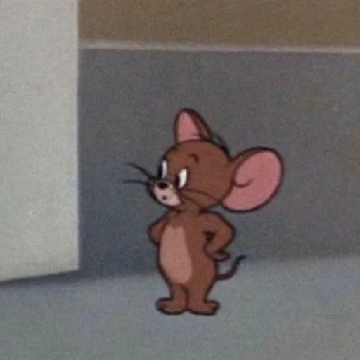 tom jerry, jerry est mignon, la petite souris de jerry, tom et jerry, tom jerry mouse