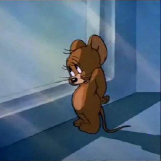 tom jerry, triste jerry, jerry qui pleure, tom jerry est nouveau, jerry la souris triste