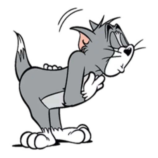 tom jerry, tom e jerry, tom tom jerry, tom jerry cat, tom jerry su bianco