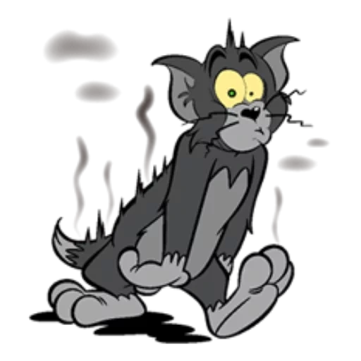 gatto, jerry, tom cat, tom jerry, tom jerry cat