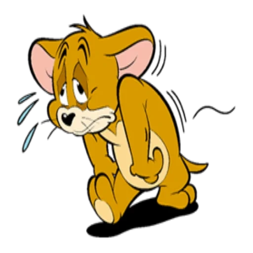 tom jerry, ratón jerry, ratón jerry, jerry's mouse, dibujos animados de jerry tom jerry
