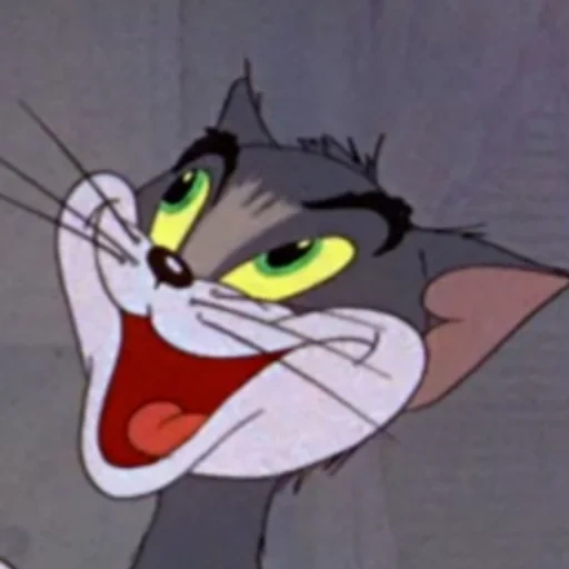 tom, kucing, kucing toirot, tom adalah sosis, tom jerry cat