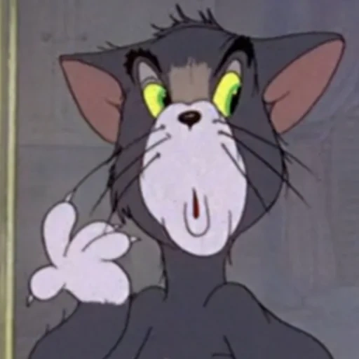 tom jerry, tom jerry cat, tom jerry ama, cat tom tom jerry, tom jerry little