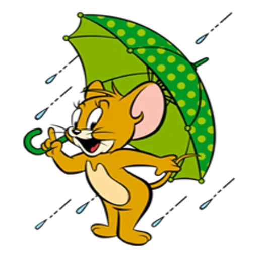 jerry, tom jerry, jerry mouse, jerry's mouse, watsap tom jerry