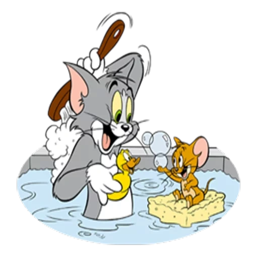 tom jerry, tomsky jerry, tom jerry magnet, die rolle von tom jerry