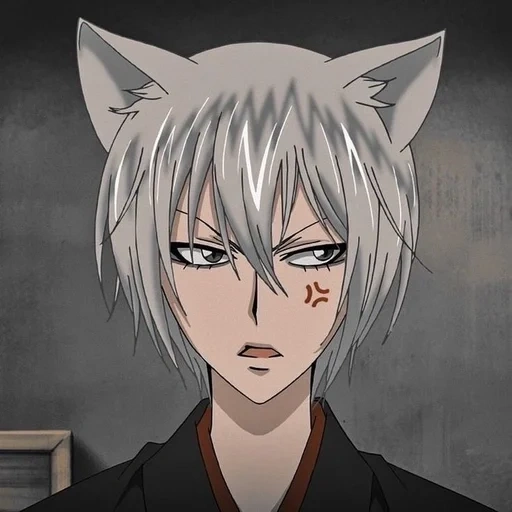 tomoe, tomoe fox, tomoe anime, sehr schöner gott tomoe