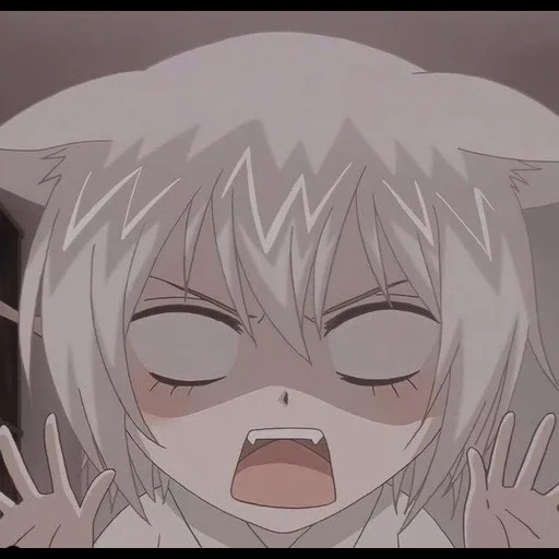 chibi tomoki, anime tomoe, youhe cartoon, tomoe animation, otomo hui