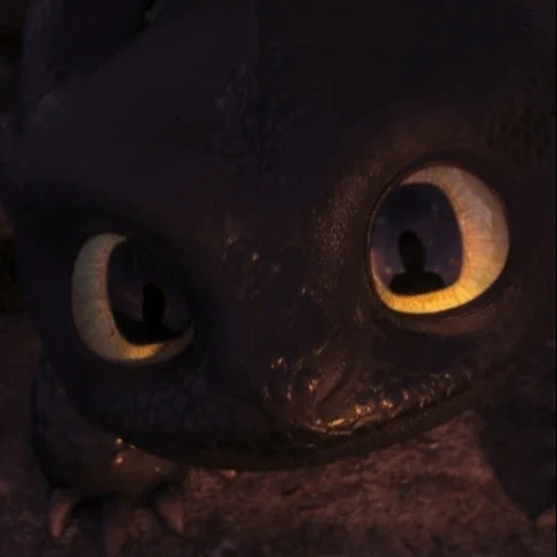 dragon toothless, night rage toothless, sun rage toothless, tame dragon toothless