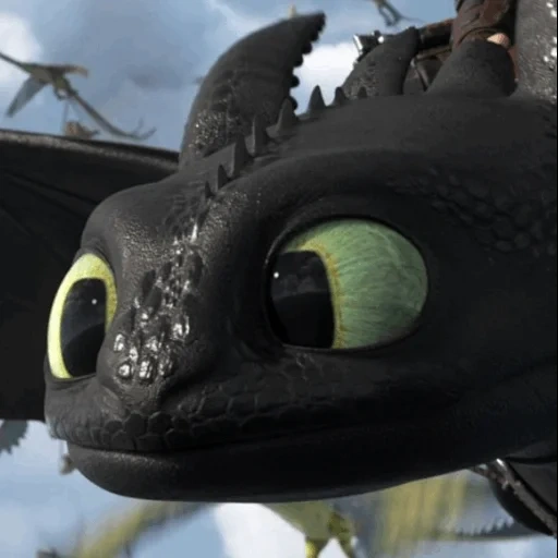 el dragón no tiene ida, little toothless, elivery daytime furia, gire el dragón sin dientes