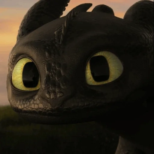 toothless, toothless hiccup, dragon toothless, toothless sun rage, tame dragon toothless