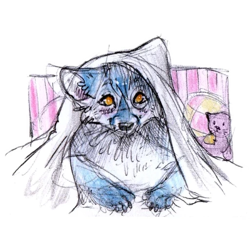 arte de gato, desenhos de demura, rocket raccoon sketch, esboços de guaxinim com lápis, desenhos de esboços de rabiscos matinais