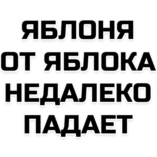 frasi, meglio più tardi, la frase qui è per te, le frasi migliori oh e, frasi animate