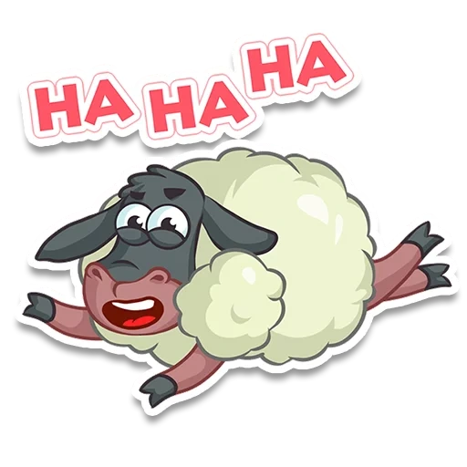 sheep