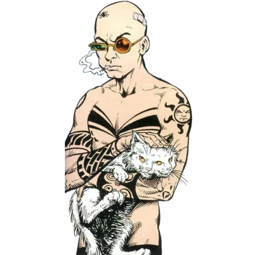 araignée jérusalem, transmetéropolin, araignée jérusalem cat, affiche de transmettage politique, spider jérusalem transmetropolitan