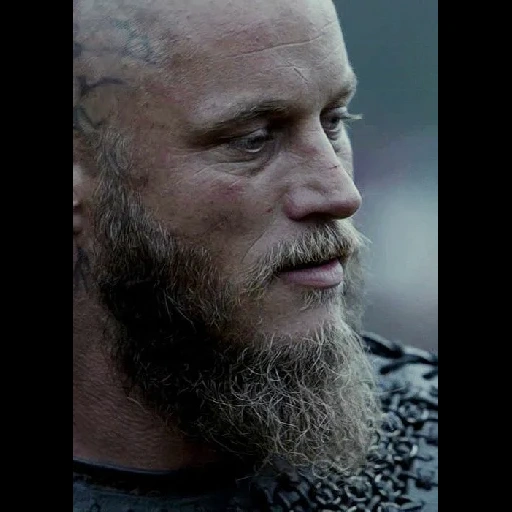 travis fimmel, ragnar lodbrok, travis fimmel vikings, vikings ragnar beard, ragnar lodbrock vikings