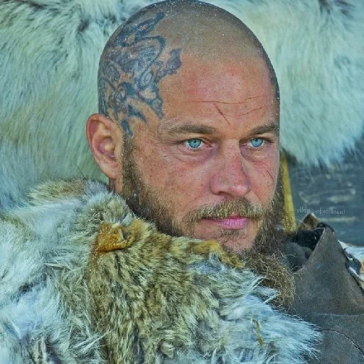 ragnar, viking ragnar, ragnar lodbrok, viking ragnar bald, ragnar lodbrock viking