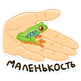 treefrog_vk