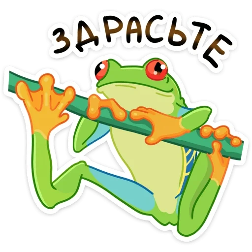 la rana, la rana, ramo di rana, clip frog, modello di rana