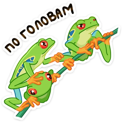 grenouille, grenouille crapaud, ouaouaron, frog strip, grenouille aux yeux rouges