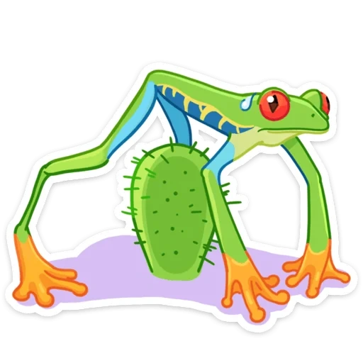 a from, frogs, frog 2d, frog with a white background, cartoon frog