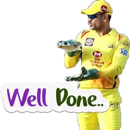 ipl, csk, dhoni, cricket, ms dhoni