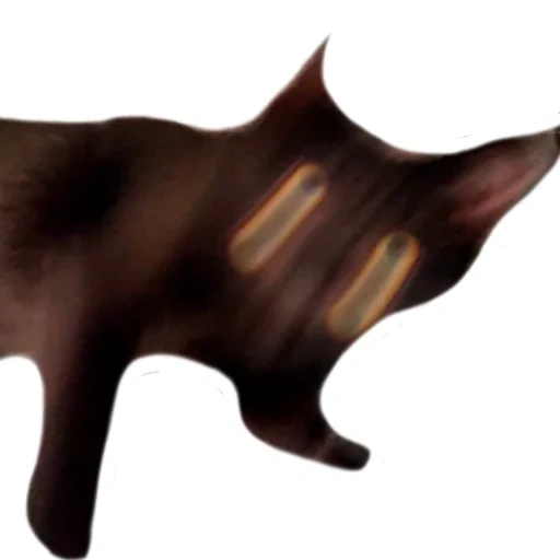 chat, le hêtre rhinocéros, peau brune, jouet skat manta, talisman est un taureau en bois
