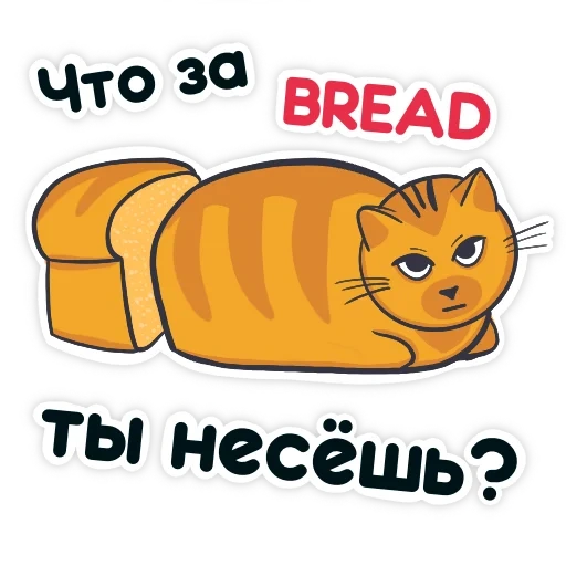 gato, gato, pan de gato, el gato es cadera