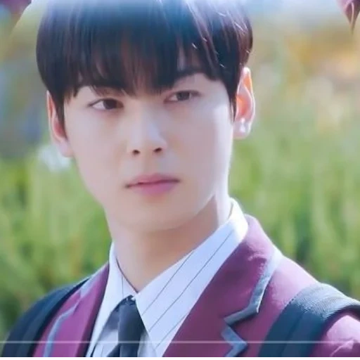 cha eun woo, koreanische schauspieler, interessante episoden, das drehbuch ist so schön, che en wu zhen beauty drama