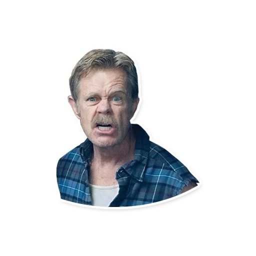 shameless, a shameless person, a shameless person, william macy