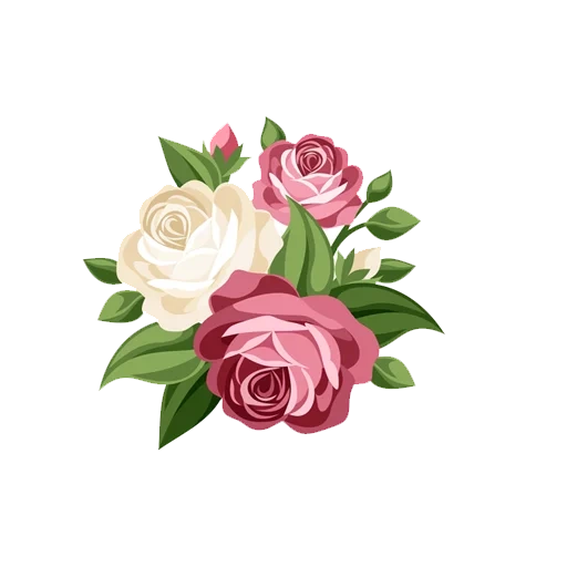 цветы розовые, винтажные розы, цветочный букет, цветы векторные, роза иллюстраторе