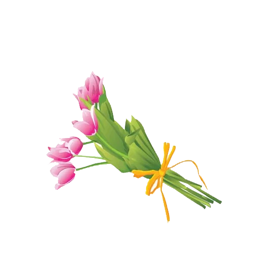 tulipanes, flores de tulipanes, bouquet de tulipanes, tulipanes rosados, bouquet de tulipanes rosados