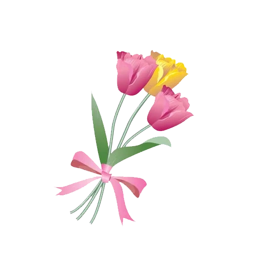 tulipes, fleurs de tulipes, vecteur de tulipes, bouquet de tulipes, bouquet de vecteur de tulipes