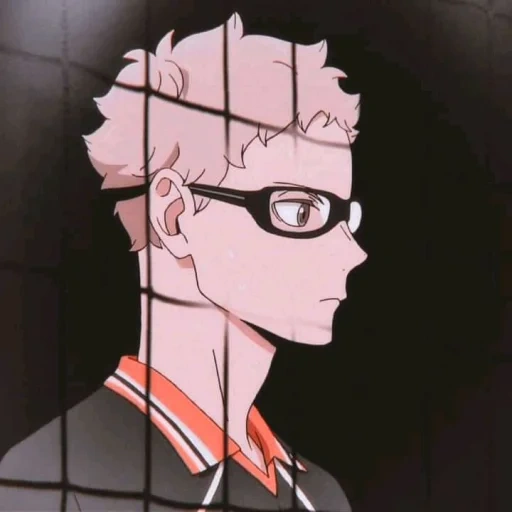 tsukishima, tsukushima, tsokishima, tsukishima kay, tsukishima hagoo