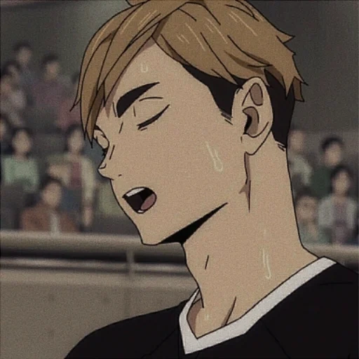 mia sumu, animação de voleibol, vôlei de anime karasuno, gêmeos de anime de voleibol, vôlei personagem anime