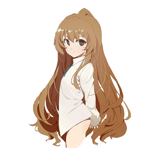 pack, torador, taiga anime, aisaka taiga