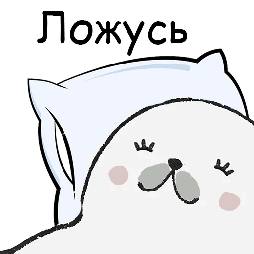 seal, funny, bongo cat, bongo cat, g 305 bongo cat