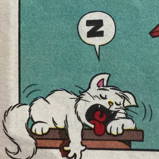 gatto, gatto, i fumetti, il gatto di simon, fumetti cat simon simon